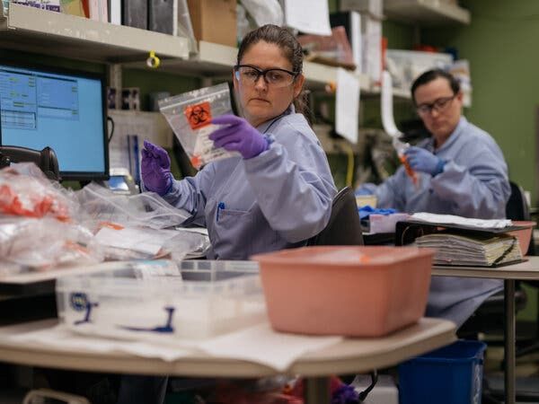 Coronavirus screening tests at University of Washingtonâs virology laboratory in March 2020.