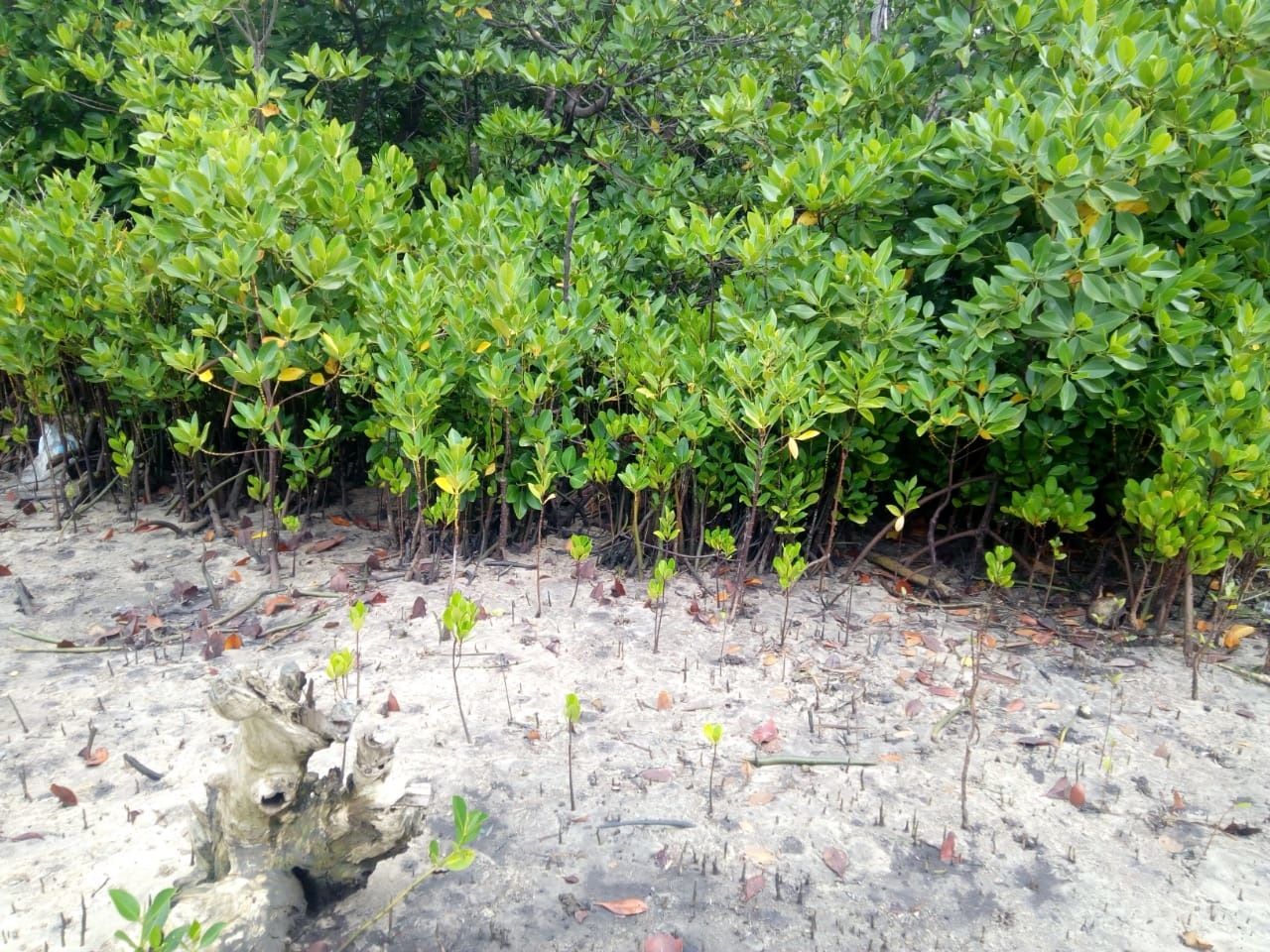 County to revive dormant Saccos at a cost of Kshs 150,000