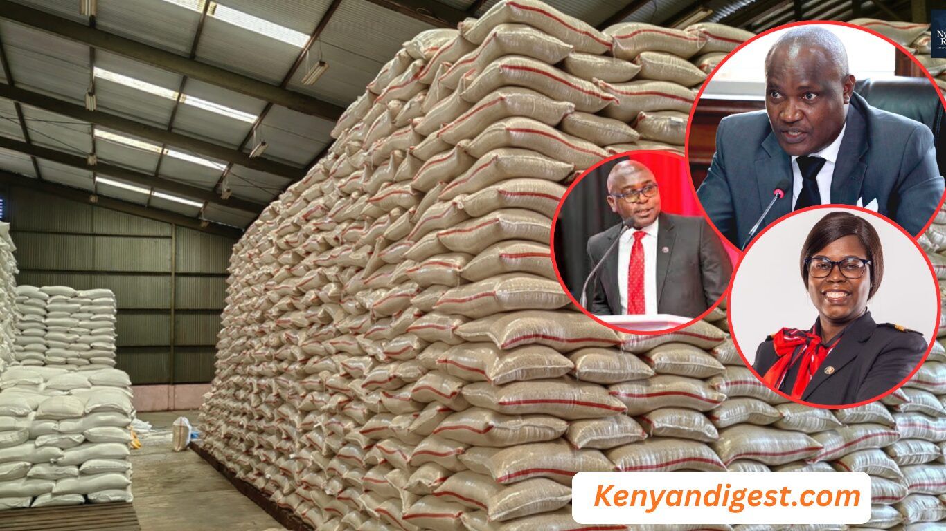 Treasury CS John Mbadi, KRA Commissioner Humphrey Watanga and Border Control chief Lilian Nyawanda are named in court filings over the clearance of Sh5.5 billion in rice imports despite a judicial freeze.