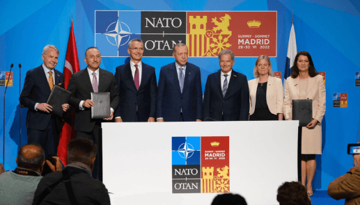 NATO leaders and representatives of Finland and Sweden during NATO membership talks.