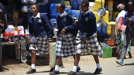 Education Ministry Reduces Secondary School Fees