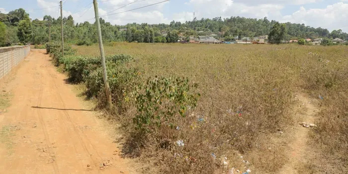 EACC Recovers 2.7-Acre Kiambu School Playground After Court Declares Land Public