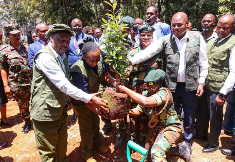 Kenya Sets 17.24 Million Tree Target for Mazingira Week Ahead of 15-Billion Goal