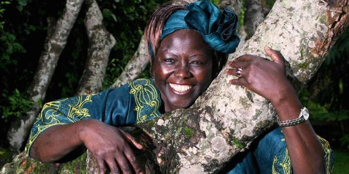 Untold Story of 1970s That Moved Prof Wangari Maathai