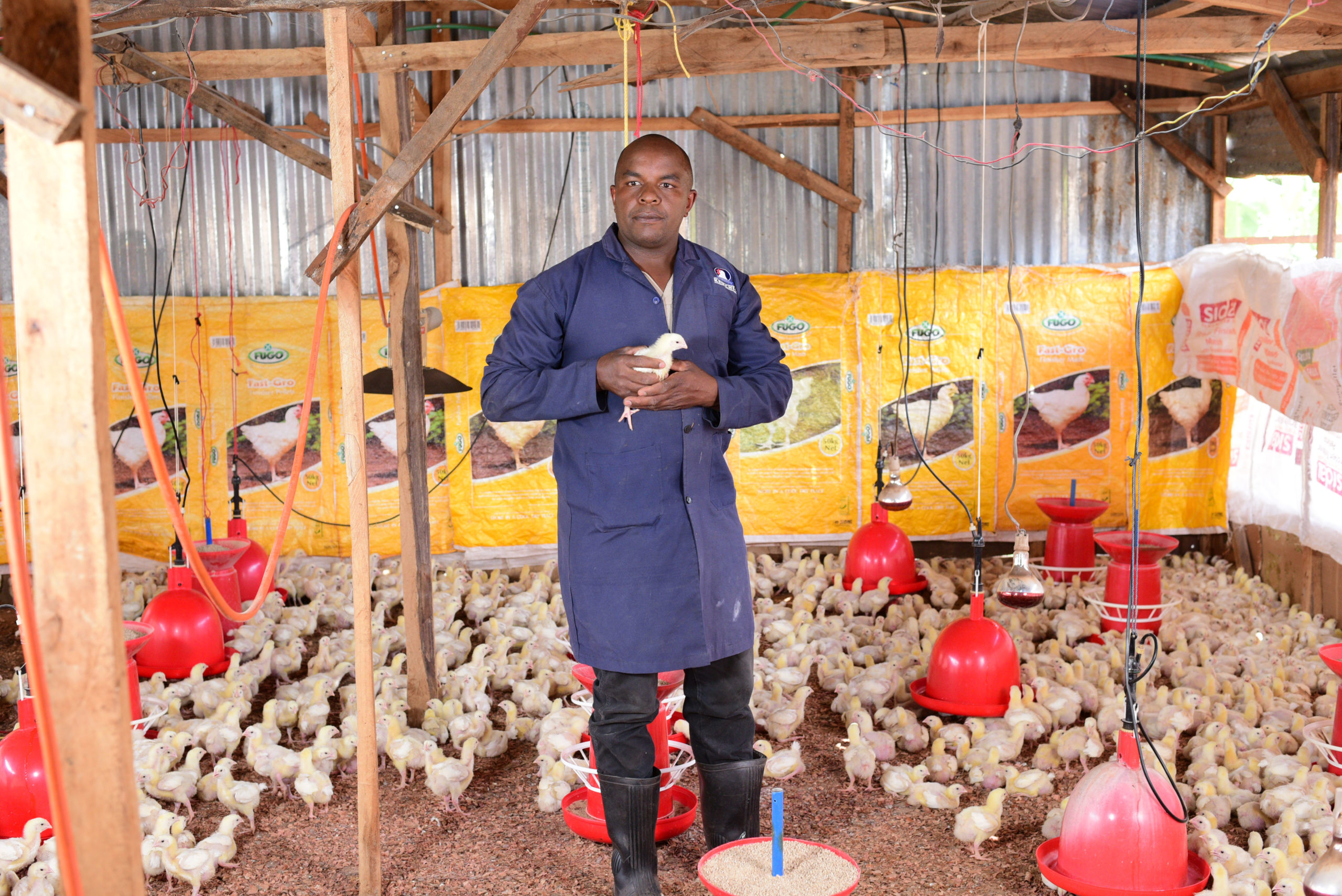 Kenchic commits to supporting local poultry farmers