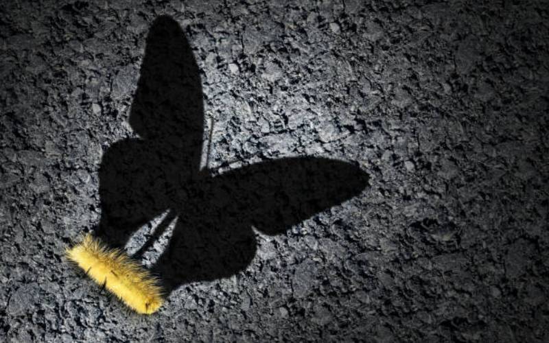 How to execute a successful change management plan