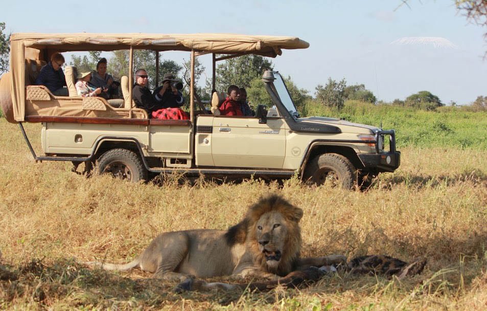These are the 5 Best Vehicles for Road Trips and Wildlife Safaris