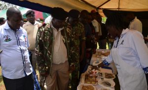 Fish farmers advised to rear monosex fish breeds – Kenya News Agency