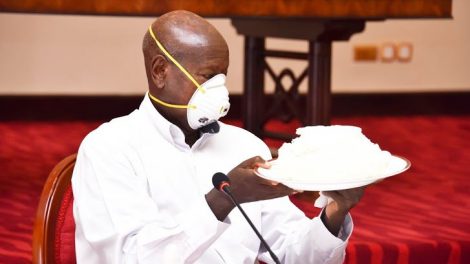 Kenyans laud Museveni advice on eating Cassava instead of bread – Nairobi News