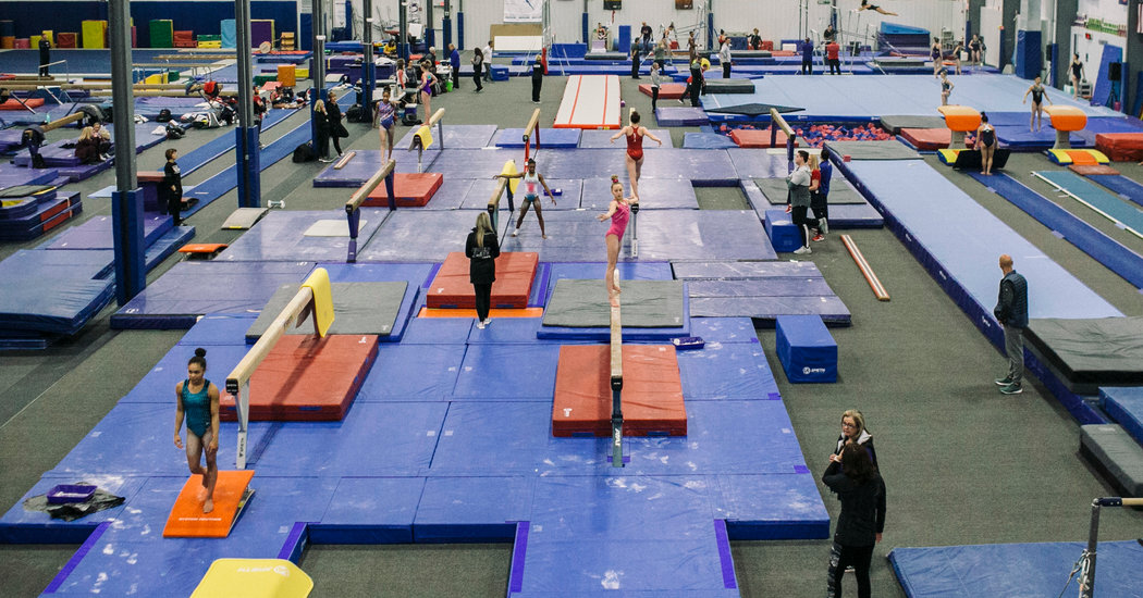 Terry Gray, Ex-U.S.A. Gymnastics Coach, Faces Charges of Lewdness With a Minor