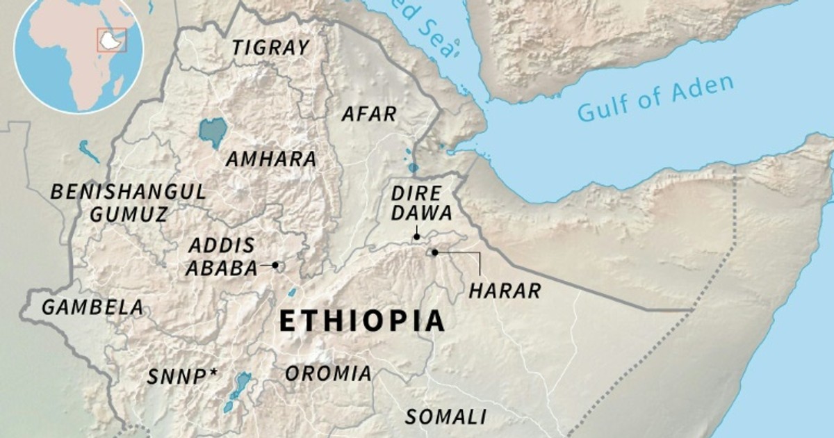 Ethiopian opposition politician held as protests continue [ARTICLE]