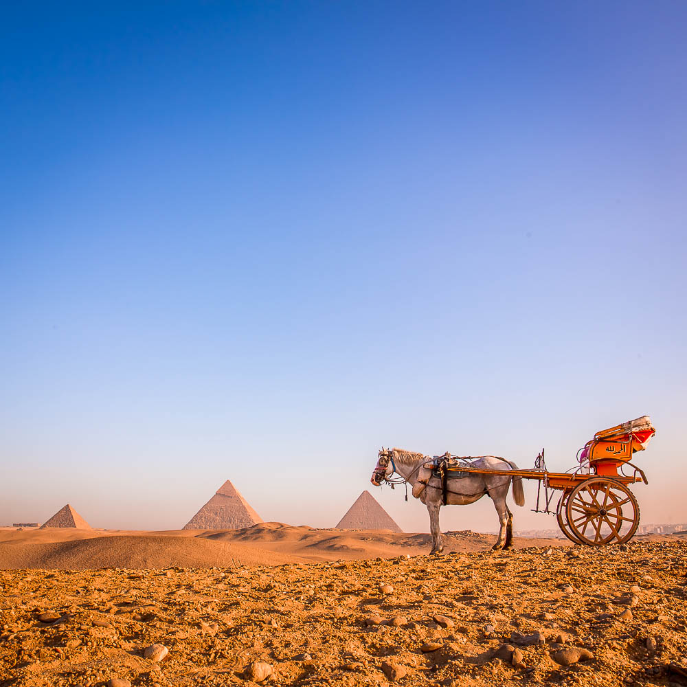 Travel Virtually To These 5 Countries on Google Arts & Culture