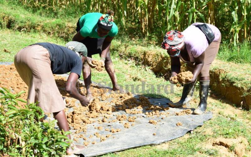 All that glitters is not gold: Miners suffer effects of using mercury