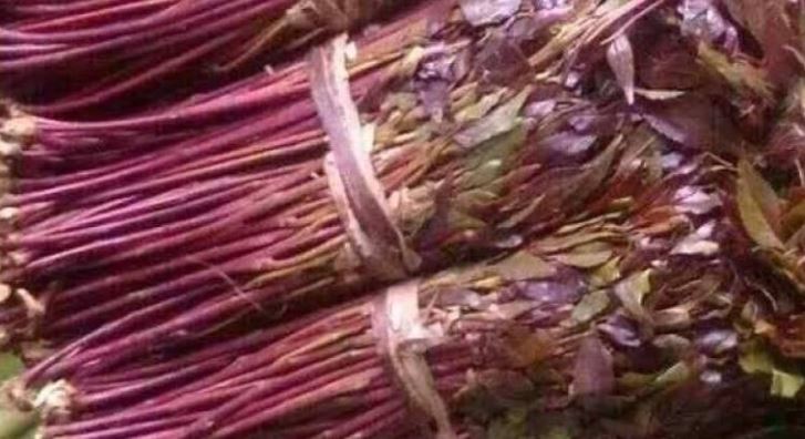 Commodities Fund tells court cash for miraa is safe