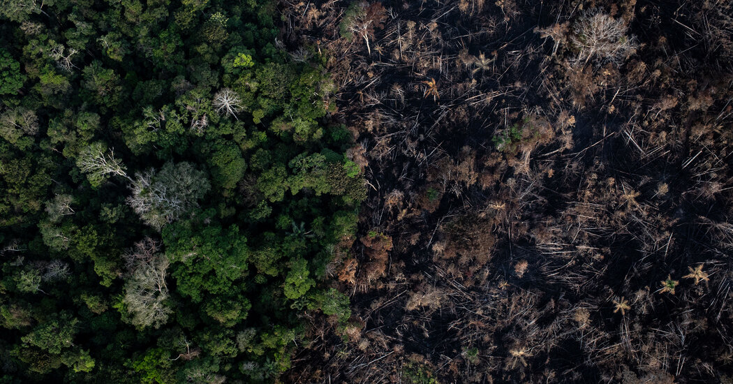 COP26 Live Updates: Leaders Vow to Limit Methane Emissions and Save Forests