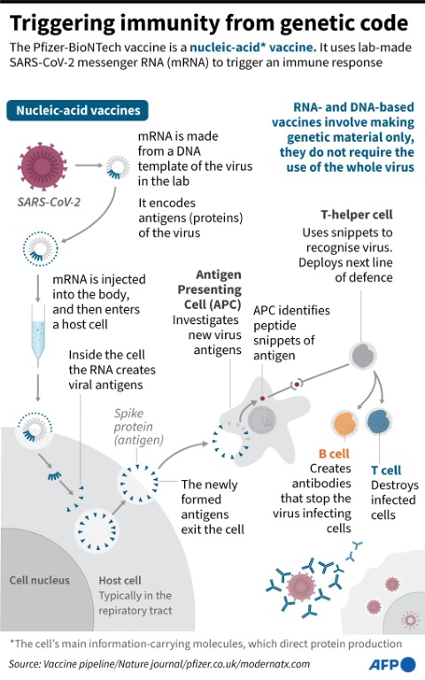Kenya to receive Pfizer vaccine doses from US govt by end of June » Capital News