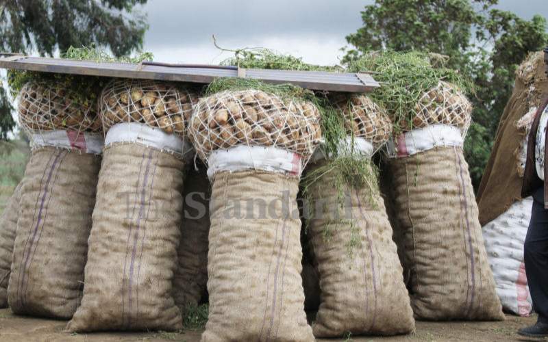 State begins enforcing the Irish potato regulation