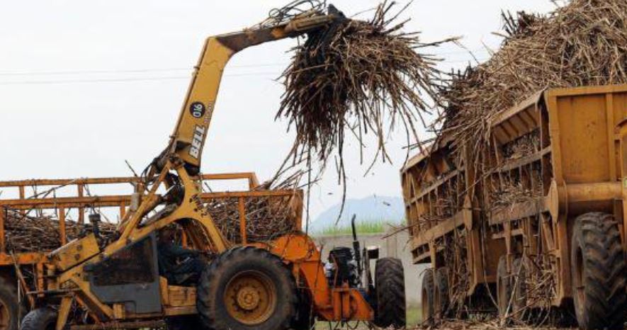 Leasing Debt-Riddled State-Owned Sugar Mills Will Roar Them To Life-KEPSA