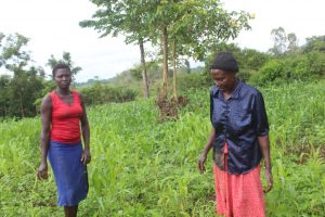 Bumyala residents threaten to take law into their hands – Kenya News Agency