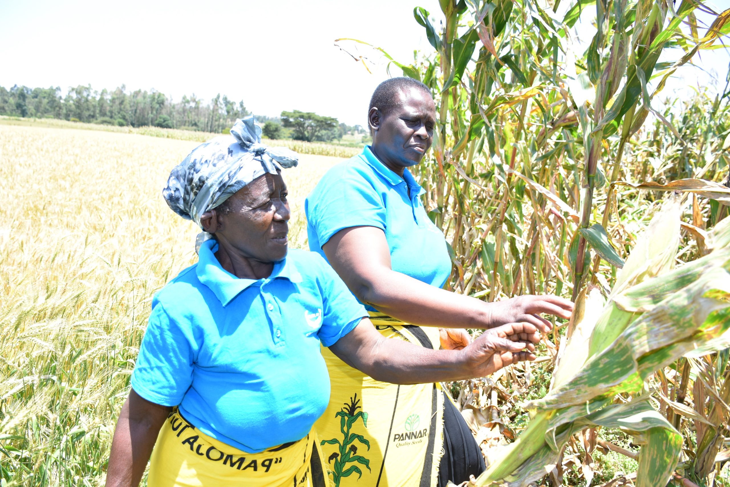 Corteva Agriscience to train 20,000 Women Farmers in Kenya