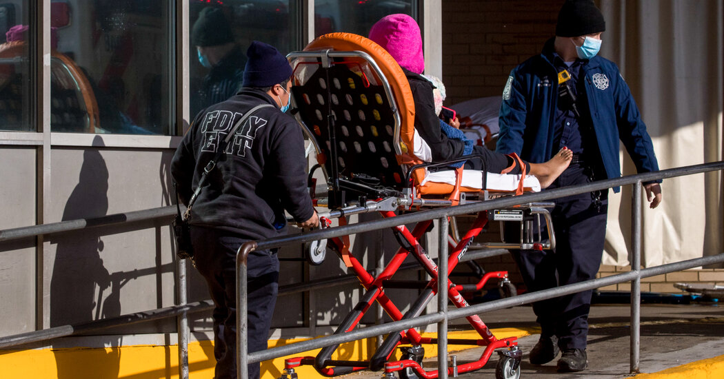 Covid Cases Level Off in New York City