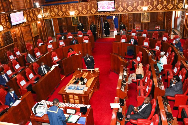 Senate to blame for revenue crisis, CRA had addressed issues: The Standard