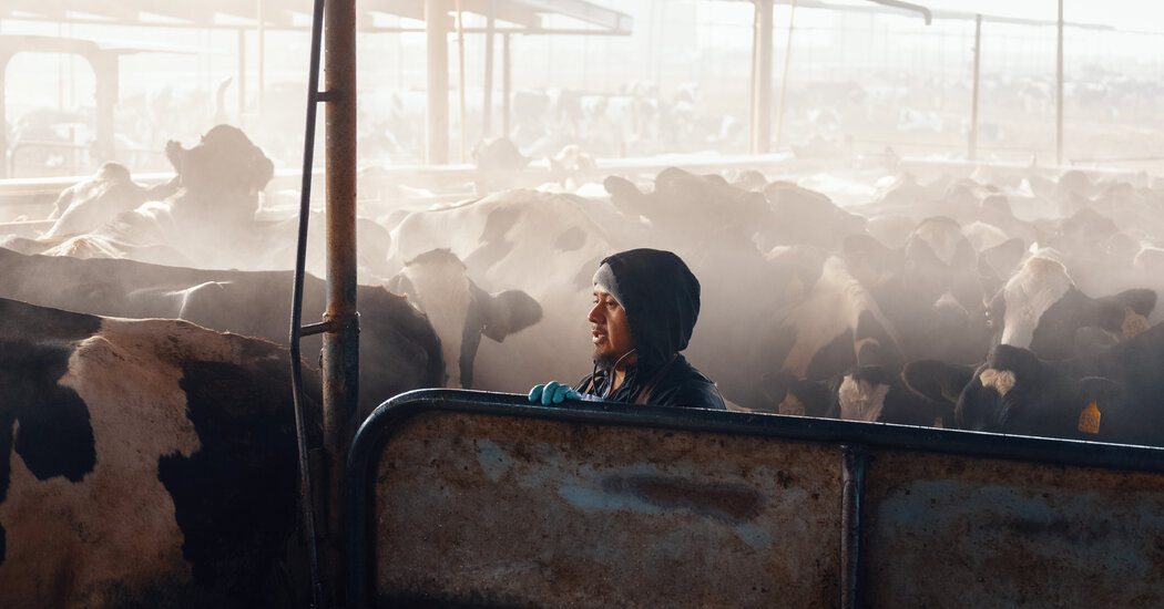 Supply Chain Disruptions May Mean Crisis for U.S. Farms