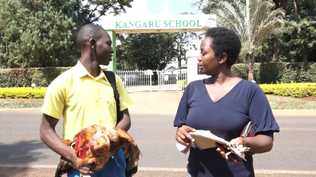 Form 1 pupil who reported to school with a cockerel for lack of fees finally admitted » Capital News