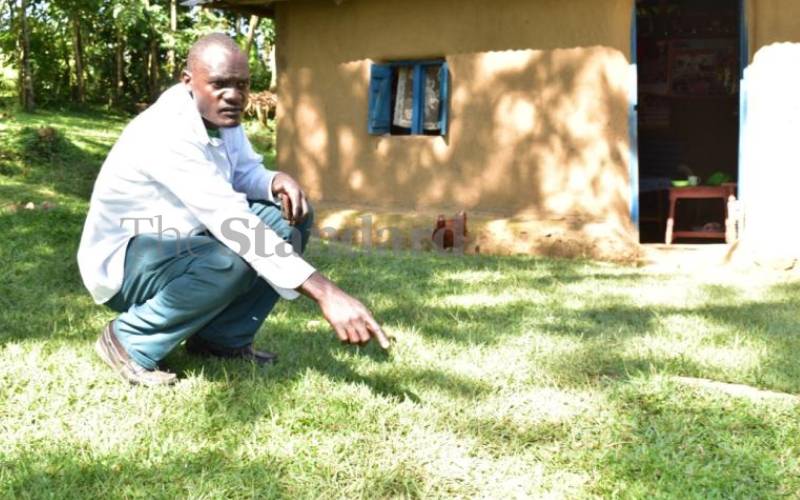 Shock after man finds daughter 'buried at Lang'ata' is still alive