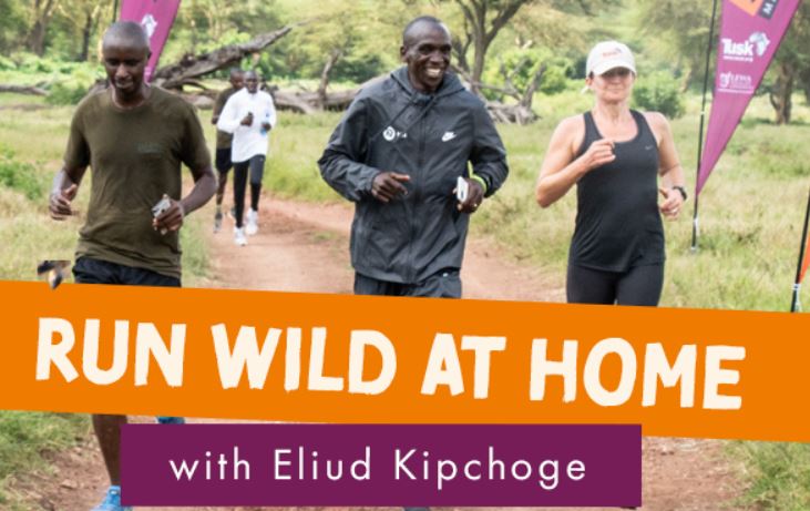 The Standard - Kenya: Get ready for the Lewa Safari Marathon tomorrow | The Standard