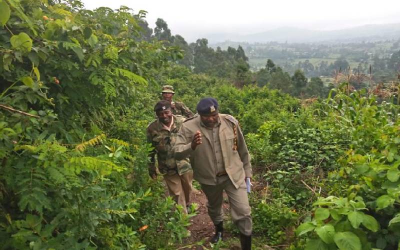 One killed, five injured in tribal clashes on Nandi-Kakamega border