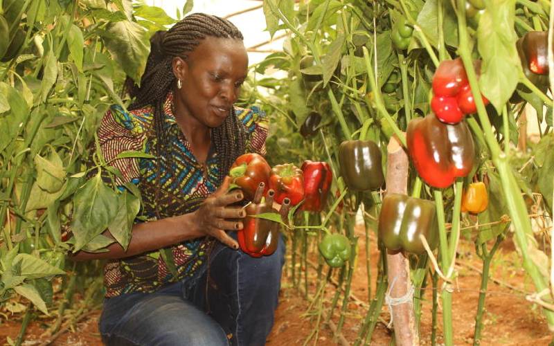 Horticulture extends its lead as biggest foreign exchange earner