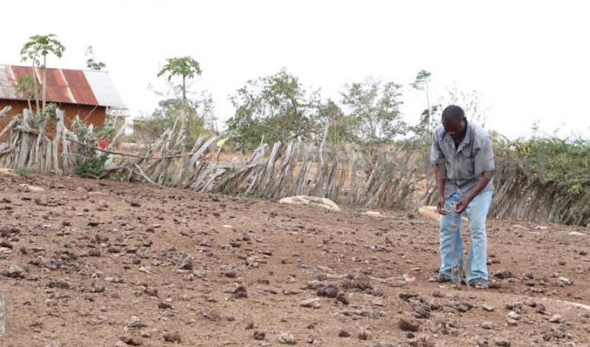 Over 300,000 residents face starvation in Coast region