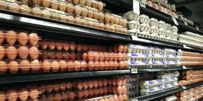 Blow to Chicken Farmers as Leading Supermarket Rolls Out New Eggs Policy