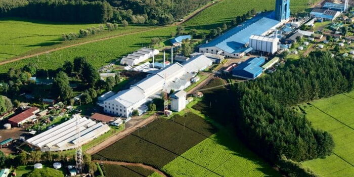 Kenyan Workers Win Landmark Case in Scotland