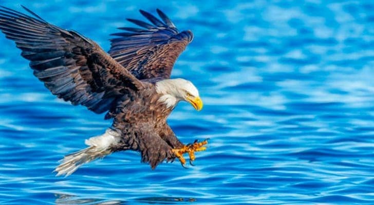 Vision That Sees Far, Do Things Differently
