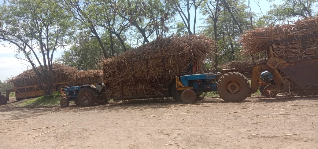 Chemelil sugar factory loses Sh20 million due to workers strike