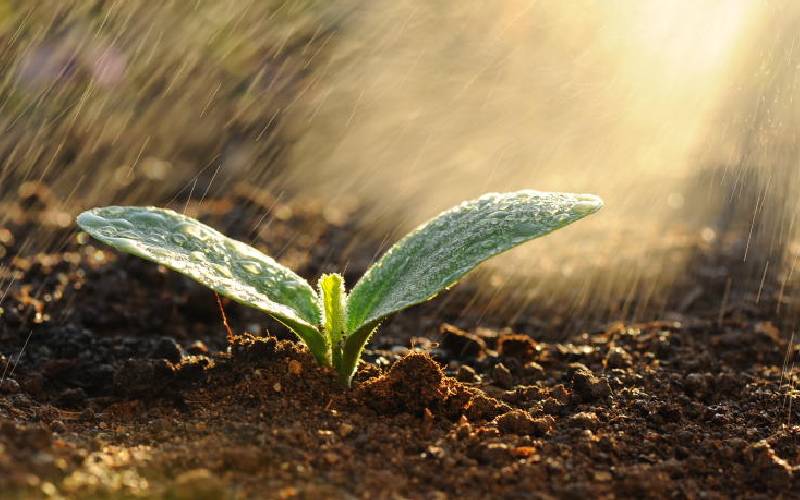 Bye dry spell, expect rains this month