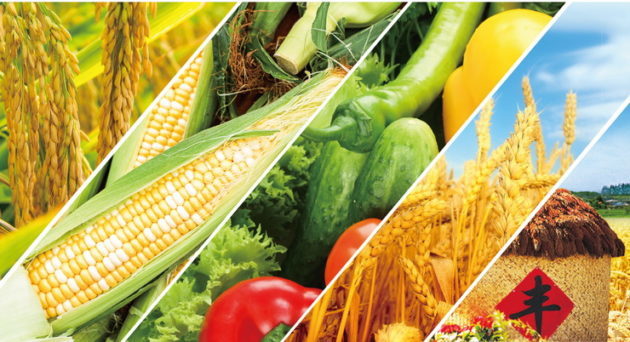Chinese Agronomist who sought to guarantee Africa’s food security » Capital News