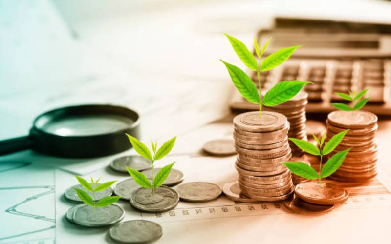 Why shares are a good investment option