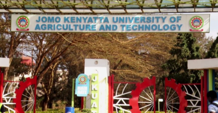 University Student Mysteriously Dies in Suspected Love Triangle with “Cousin”