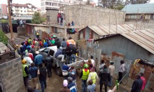 Straying Lion spotted in Ongata Rongai – Kenya News Agency