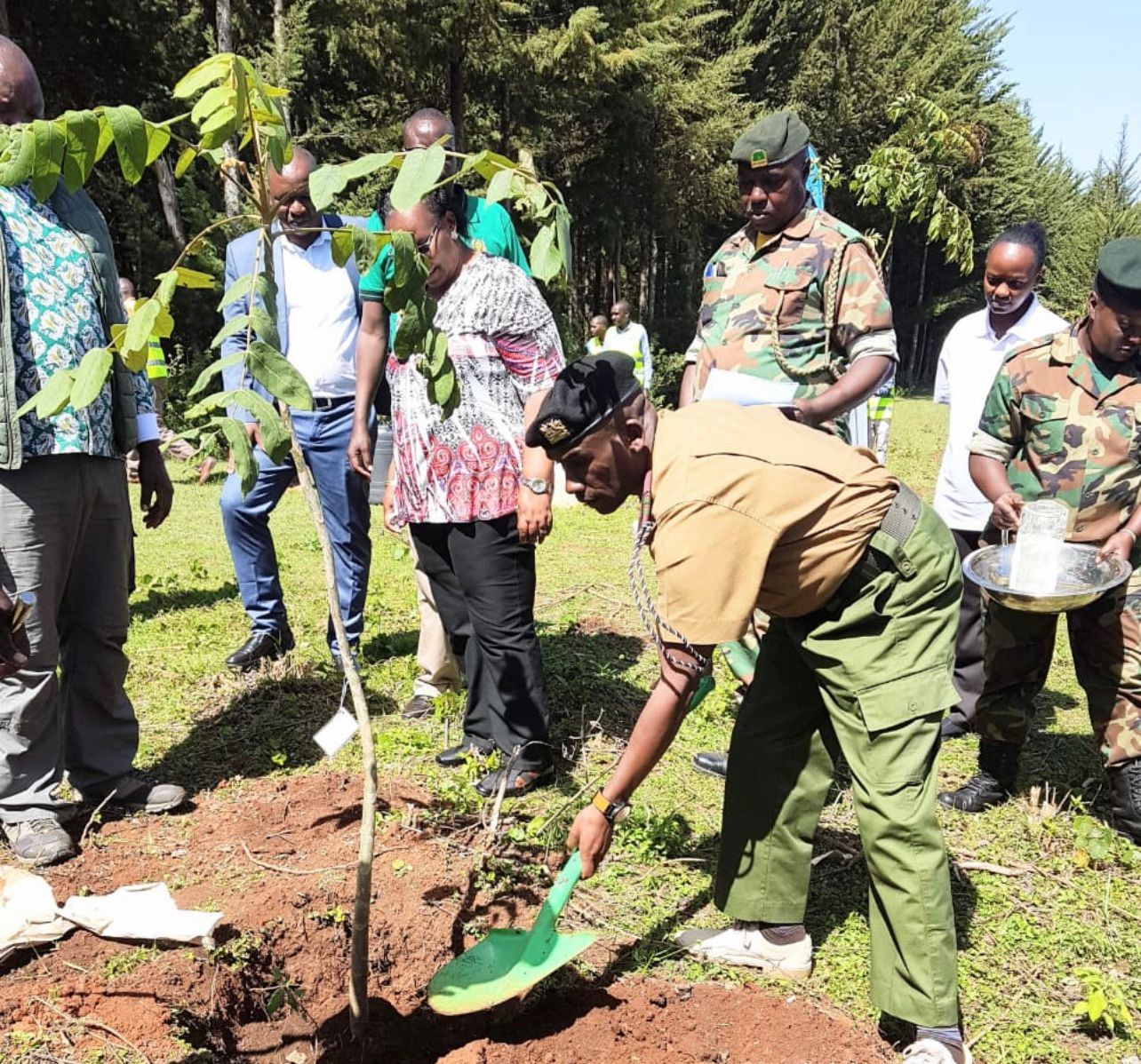 Uasin Gishu county rolls out afruitation project in schools » Capital News