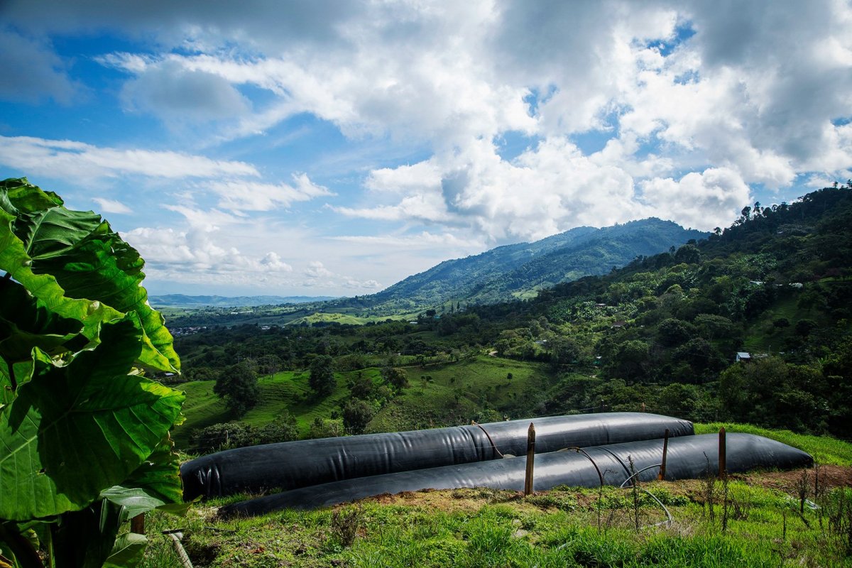 Nairobi-based Sistema.bio raises over $15M to deliver clean & renewable energy to 1 million farmers – TechMoran