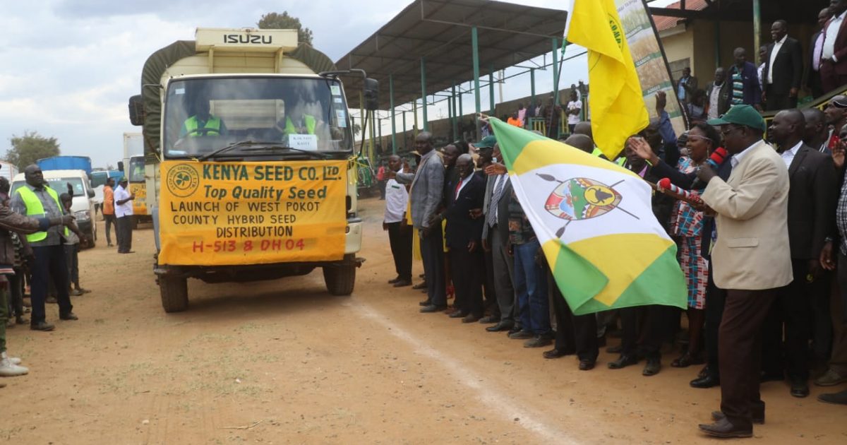 West Pokot distributes maize seeds – Kenya News Agency