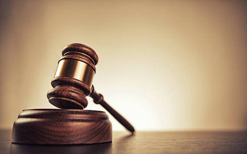 Court rules assistant chief has case to answer on bishop's two missing dogs