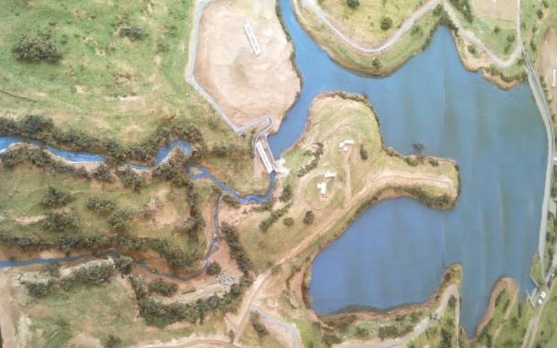 Mwea rice scheme expanded by 2,400 acres