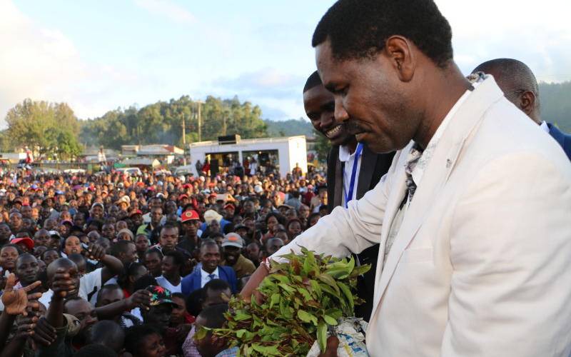 Miraa farmers seek harmonised tax levied by counties