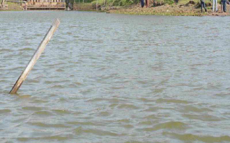 Over 10 missing after boat capsizes in Lake Naivasha: The Standard