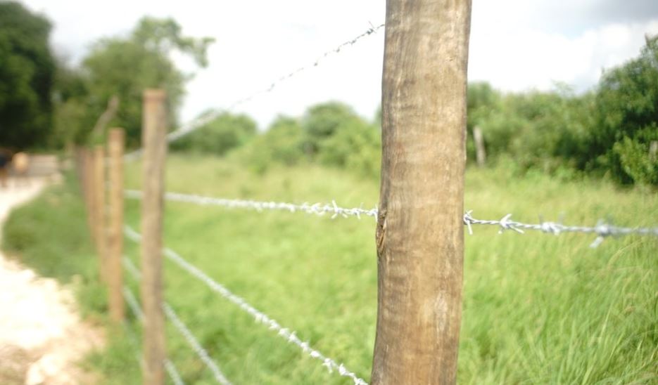Man Arrested After His Booby-trapped Fence Electrocutes Woman, 61, and Two Dogs